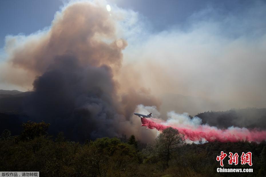 美国加州山火持续肆虐，挑战与应对策略的最新消息