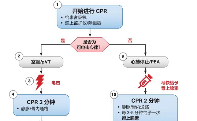 心肺复苏指南最新更新详解，2020年CPR指南原版权威解读