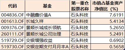 星石1号最新净值深度解析与未来展望