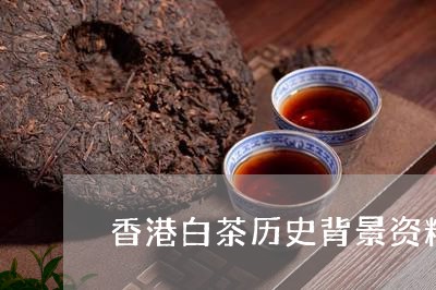 香港王中王资料大全免费，决策资料解释落实_战略版46.9.65