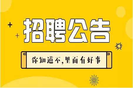 伯恩最新招聘残疾人，拥抱多元，共筑未来