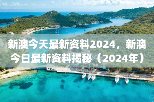 新澳天天彩免费资料2024老,项目管理推进方案_潮流版8.036