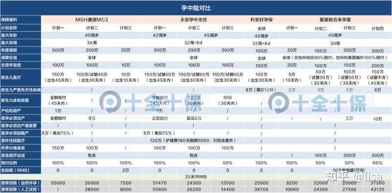 新澳2024年正版资料免费大全,战略性实施方案优化_试用版6.847