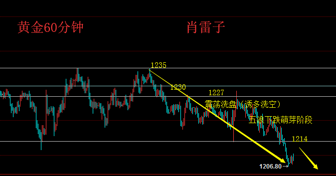 三肖三期必出特马详解,广泛的关注解释落实热议_ios2.97.118