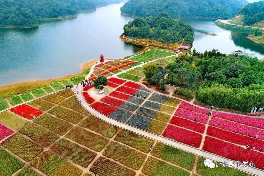 粤港澳大湾区的交通助推器，从莞深高速建设进展顺利，最新进度更新