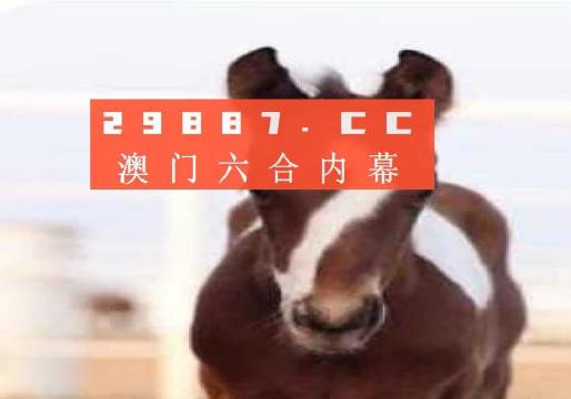 澳门一码100%准确,准确资料解释落实_豪华版180.300