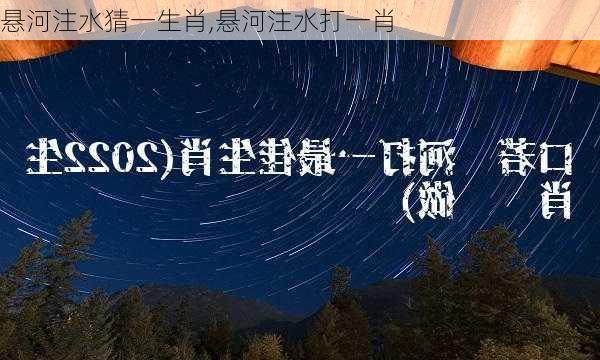 溪门精淮一肖一吗100,连贯性执行方法评估_入门版2.928