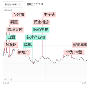 澳门单双期期准,动态调整策略执行_轻量版2.282