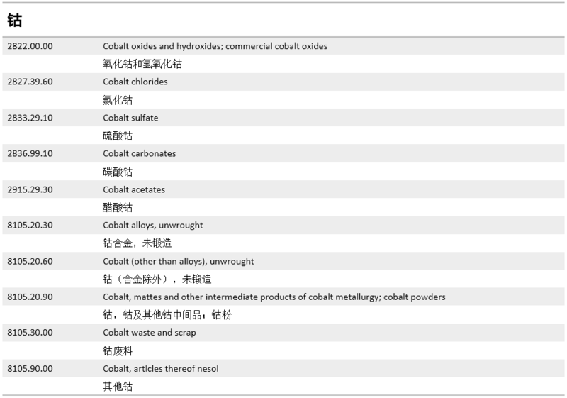 广东八二论坛官网,决策资料解释落实_升级版9.123