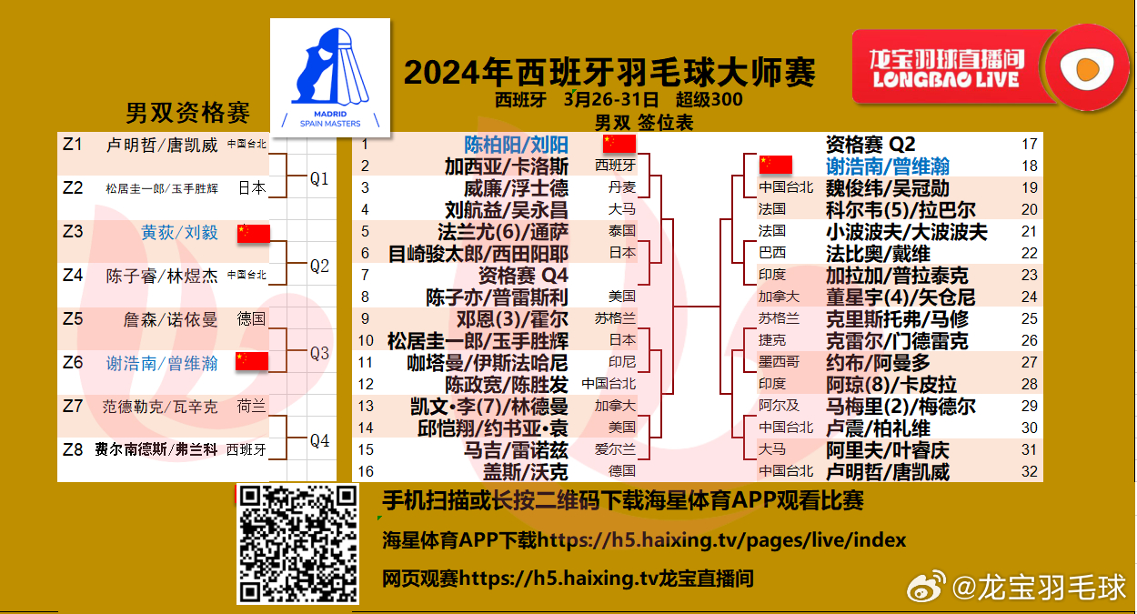 新澳门内部资料精准大全2024,重要性方法解析_VR37.210