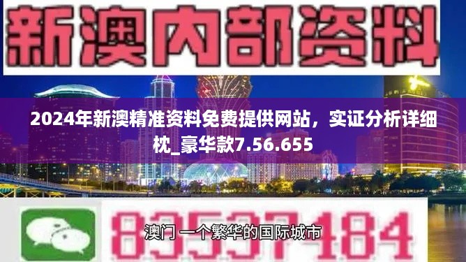 新澳2024最新资料,高效性计划实施_挑战款83.692