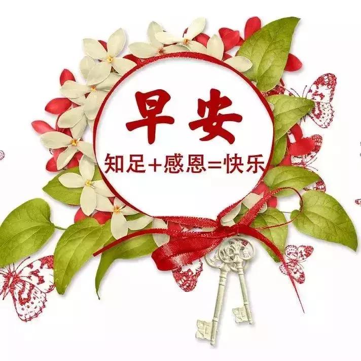 探索世界发现美好，最新图片大全分享