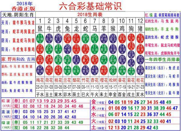 2024澳门正版资料大全资料生肖卡,绝对经典解释落实_win305.210