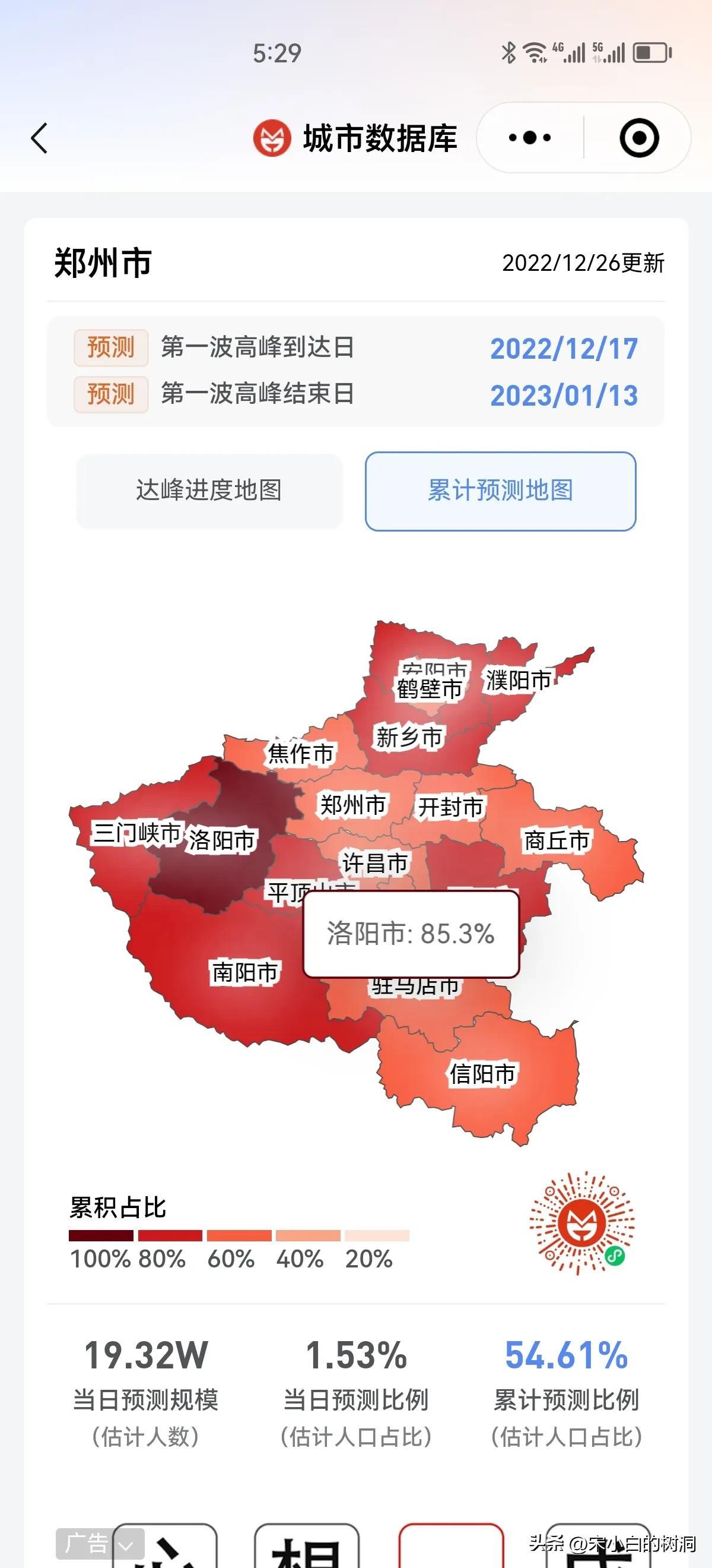 最新市场趋势深度解析，机遇与挑战并存