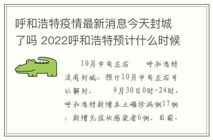 全球封城最新动态及应对策略摘要