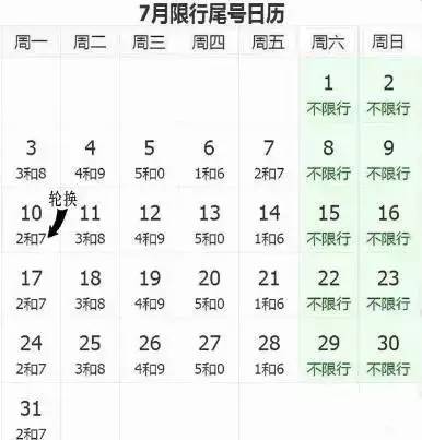 2024年11月8日 第31页