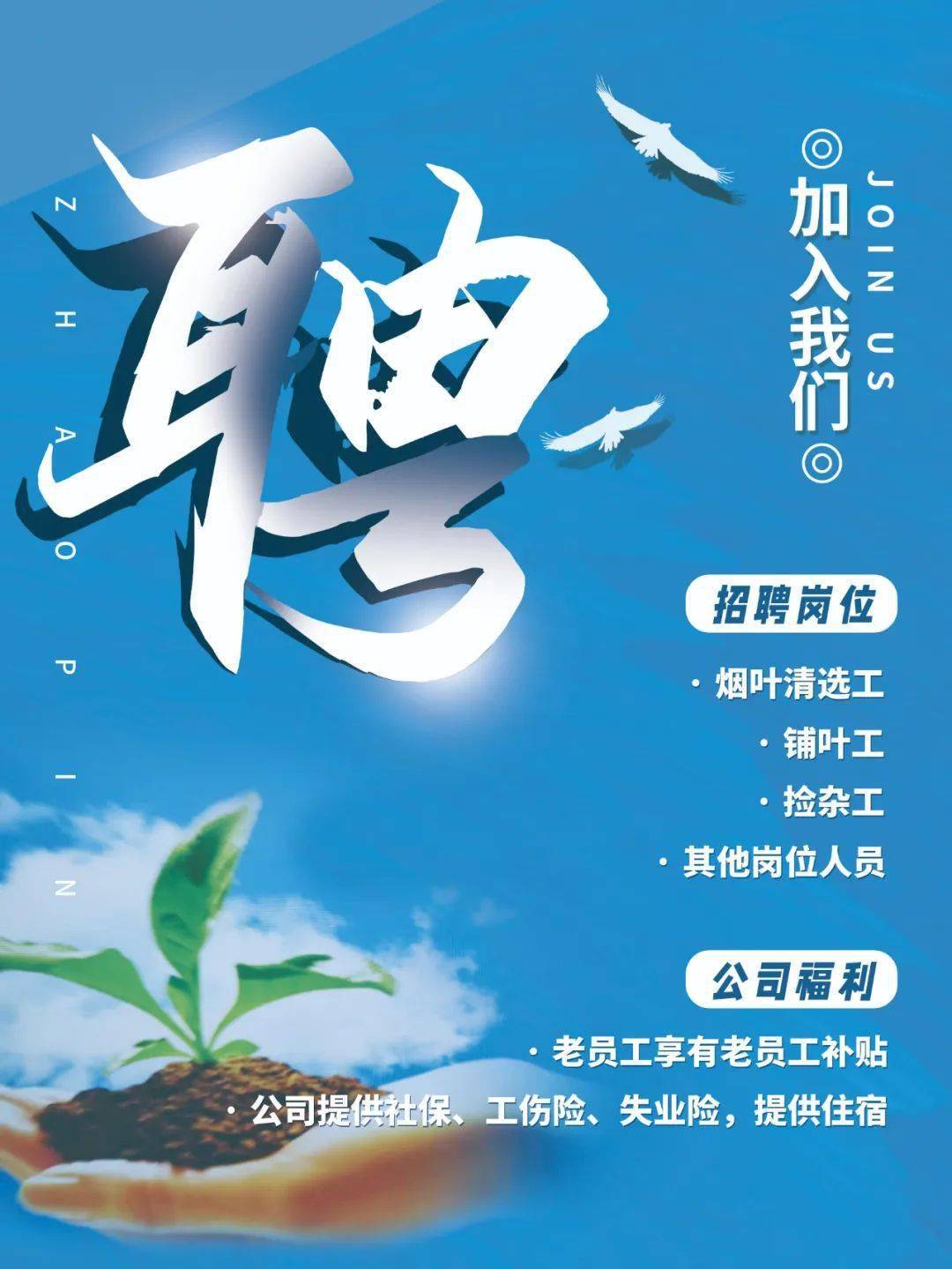 公司最新招聘启事，挖掘人才，携手共创未来