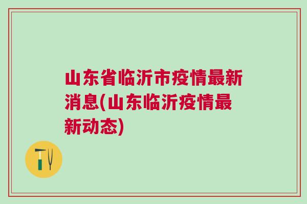 临沂疫情最新概况与应对策略解析