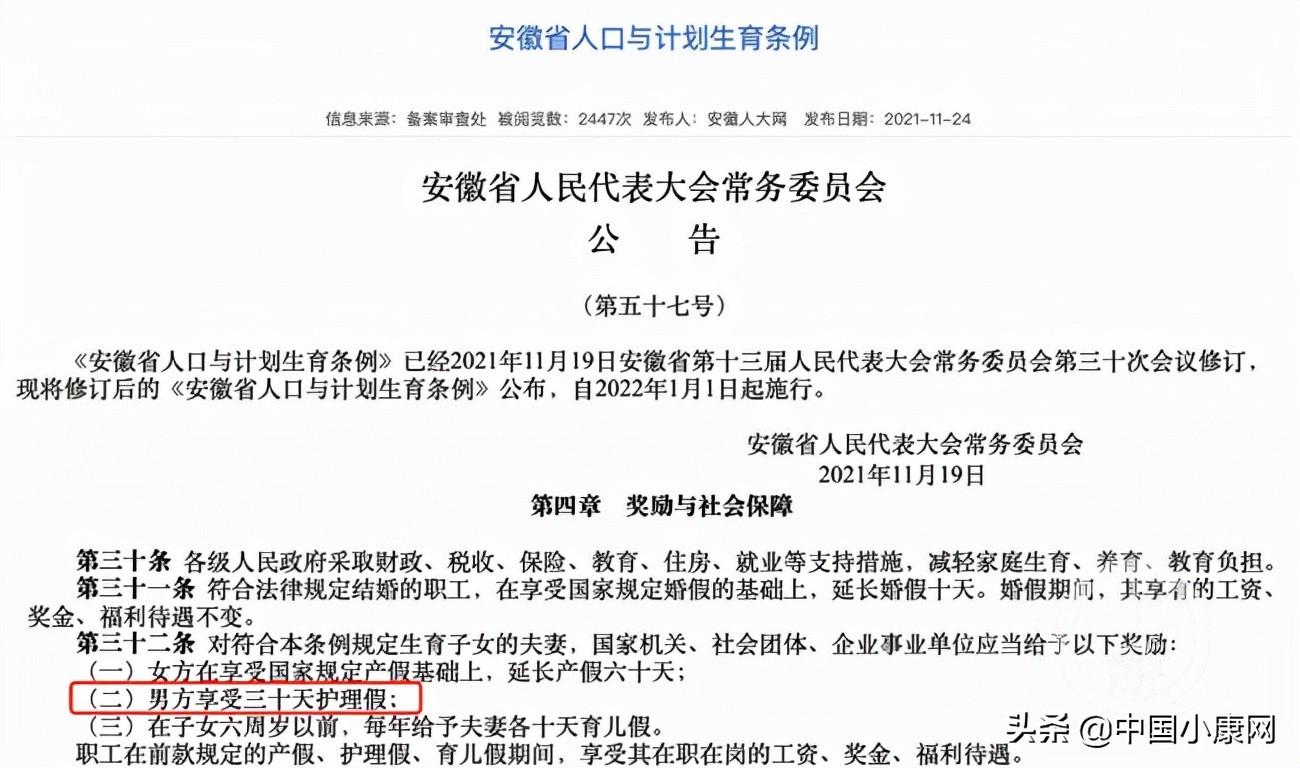 最新产假规定的深度解读及其社会影响分析