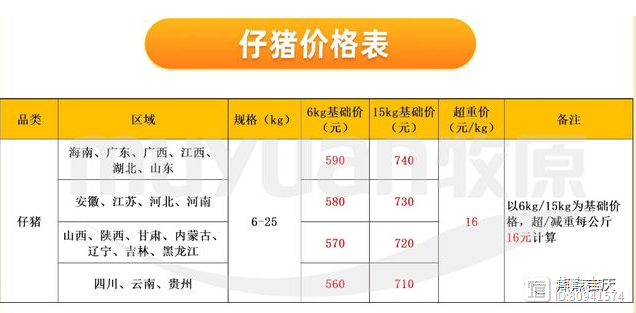 仔猪最新价格动态解析报告