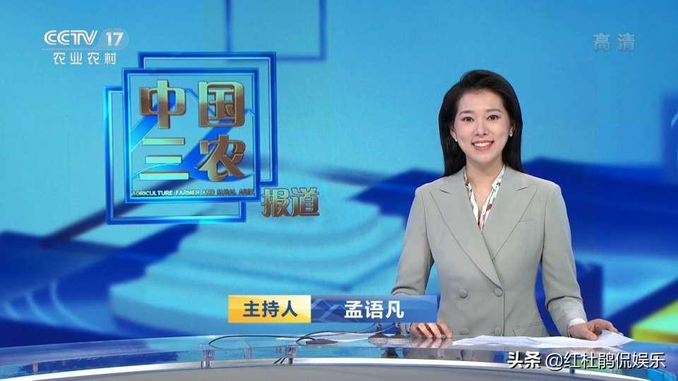 全球最新动态报道揭秘，最新消息一览无余