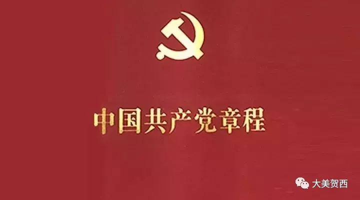 最新党章解读与深入探讨