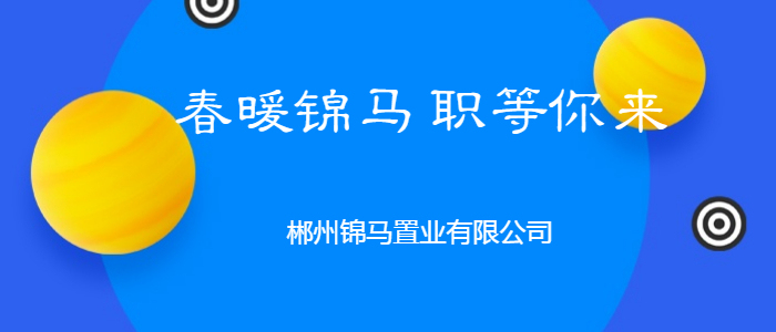 郴州最新招聘动态与就业市场深度解析