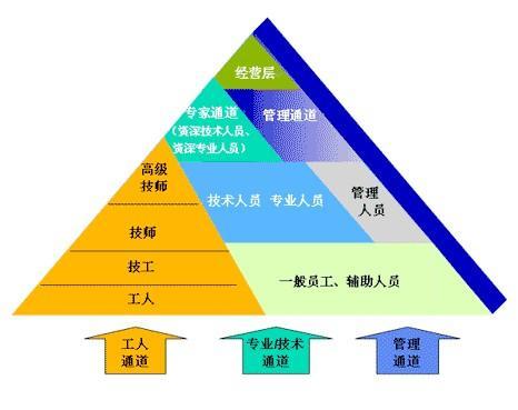 新时代企业变革之道，最新企业管理探索