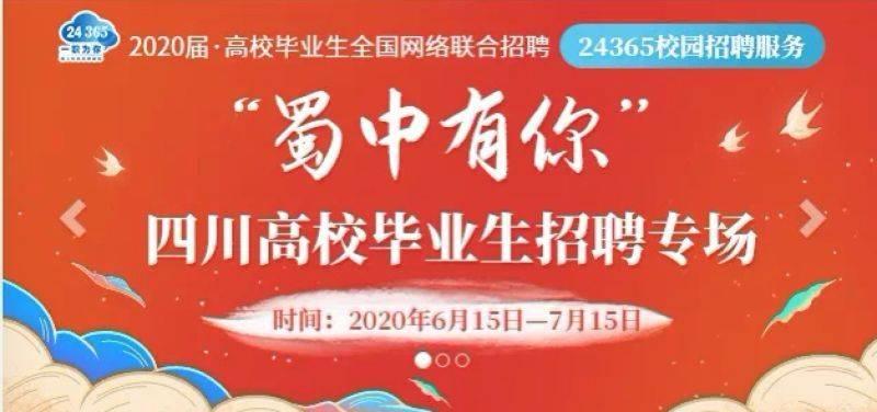 四川招聘网最新招聘动态深度解析与解读