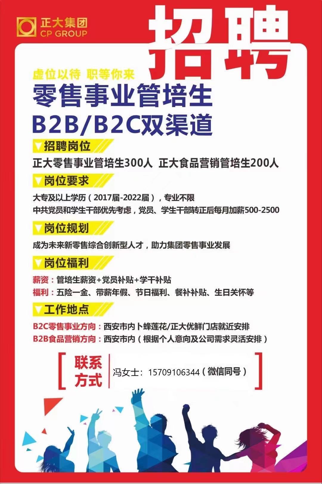 公司最新招聘简章概览