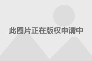 张靓颖，音乐、影视与时尚的多面魅力展现最新动态