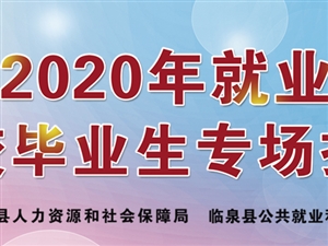 临泉最新招聘动态及其社会影响分析