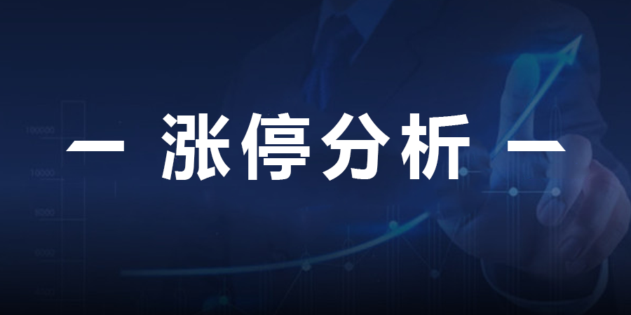 2024年11月12日 第34页