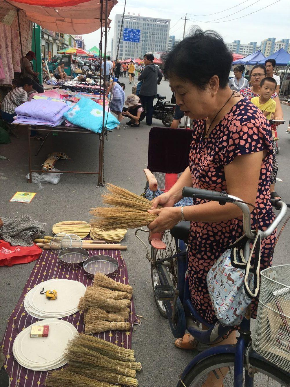 高粱价格动态分析与趋势预测