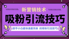 最新引流方法，探索与实践攻略