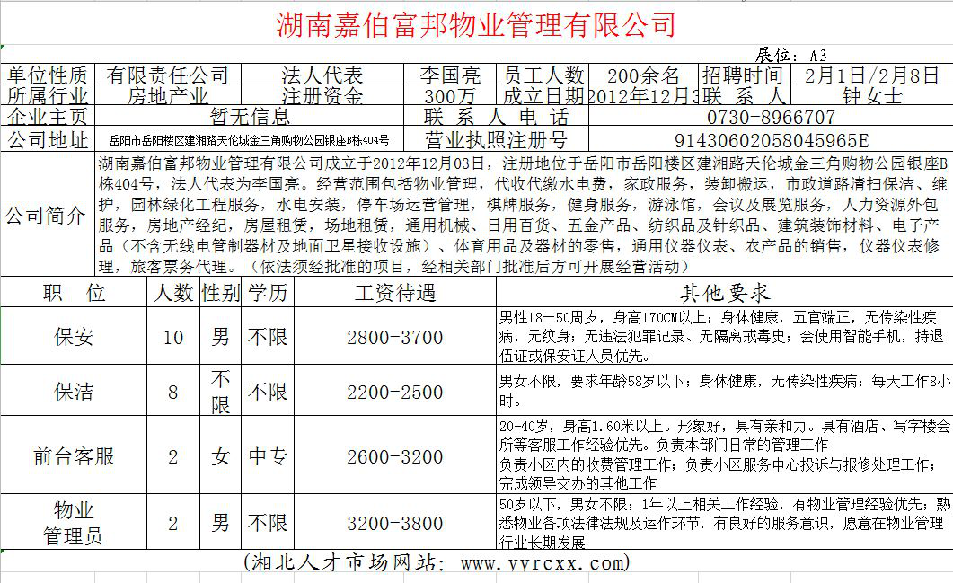 岳阳招聘网最新招聘动态深度解读报告