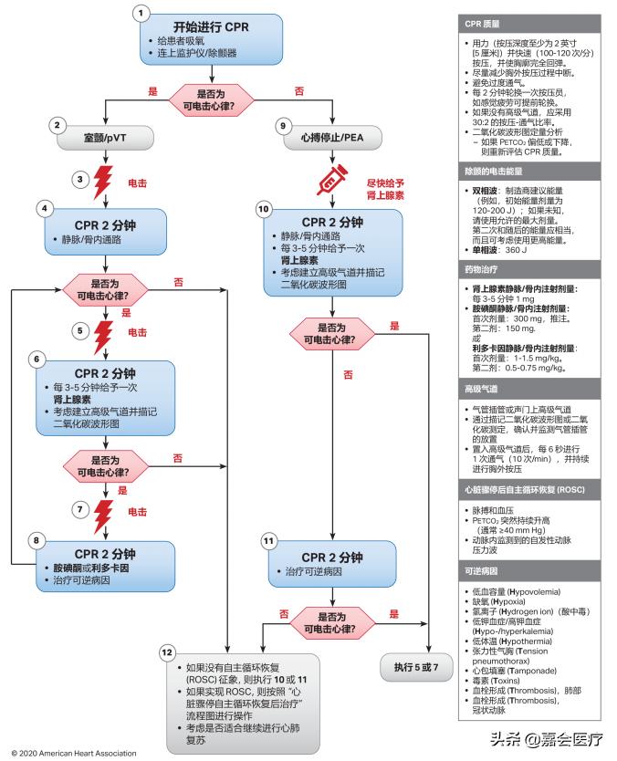 最新心肺复苏指南引领急救技术革新与提升