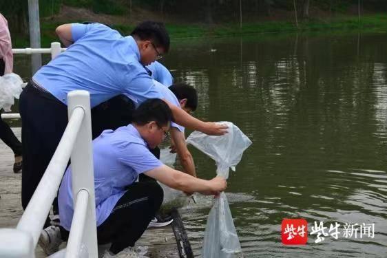 无水氟化氢最新价格动态与市场分析报告