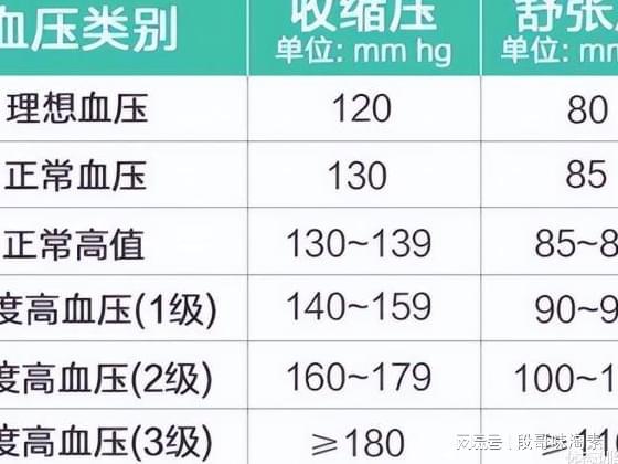 最新国际标准，全球发展新航标的引领者