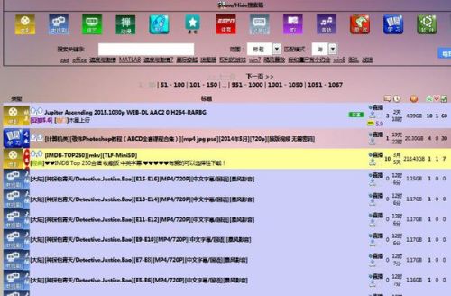 PT站下载，探索网络资源的便捷通道