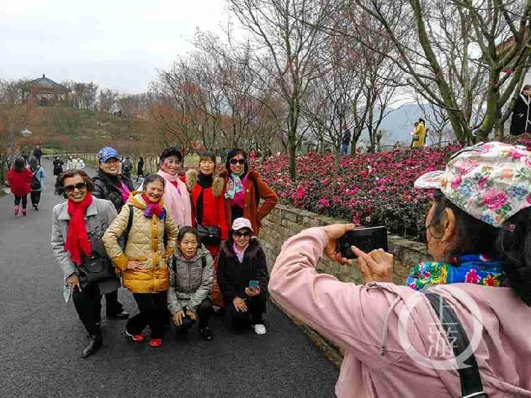 经典川剧数字化传承，在线下载体验传统艺术之美