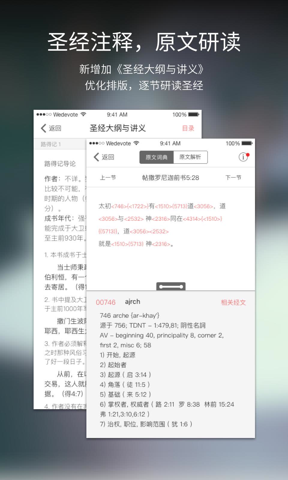 圣经下载网站，深入探索与理解之道