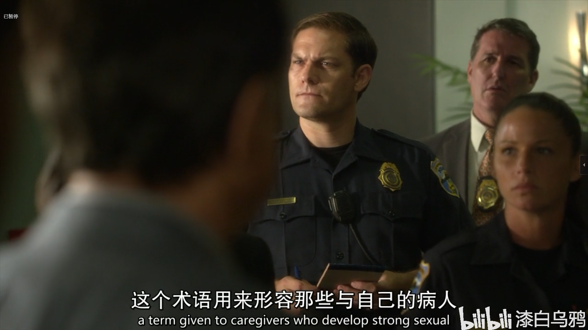 犯罪心理十三季，深度分析与下载指南全攻略