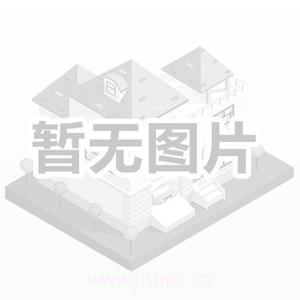 娈伦迅雷下载，数字时代影视资源获取指南