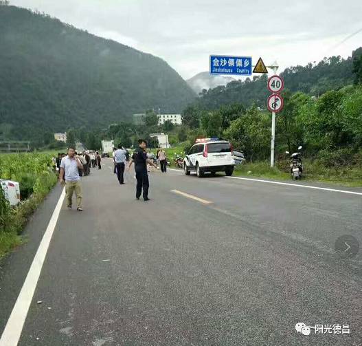 郑州车祸最新消息，今日事故概况