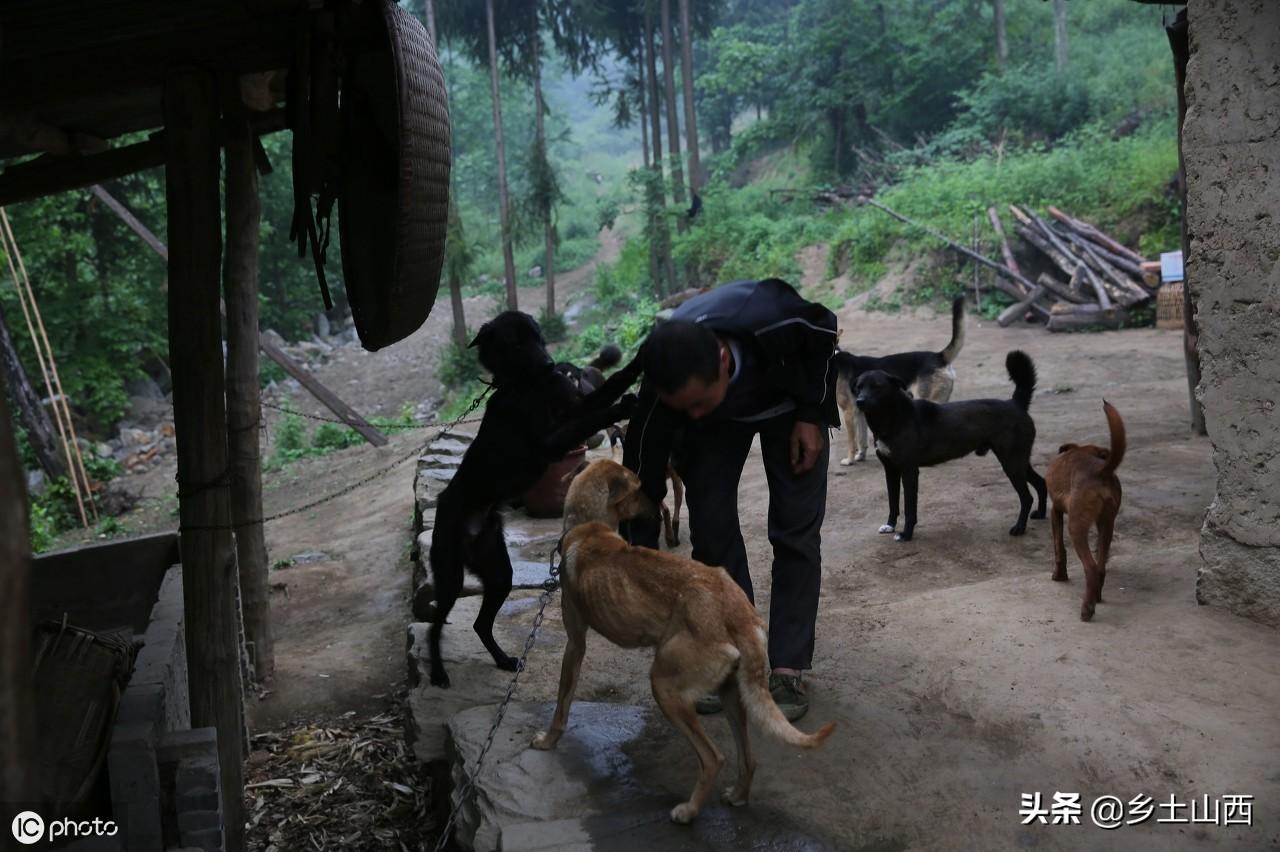 深山少年都市下载之旅的奇妙经历