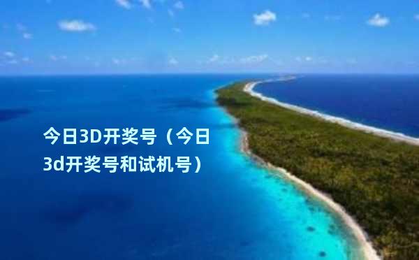 揭秘今日最新三D开机号，探索神秘数字背后的奥秘