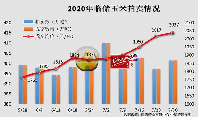 临储玉米最新消息深度解析，今日动态一览