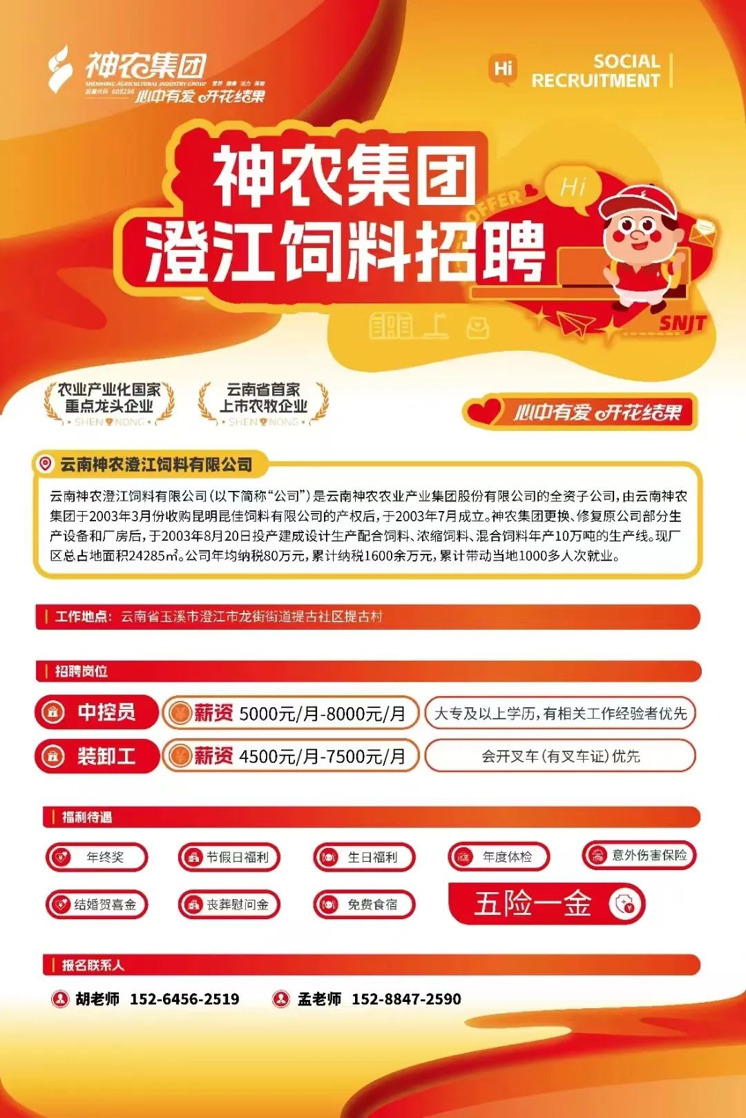 公司最新招聘简章概览