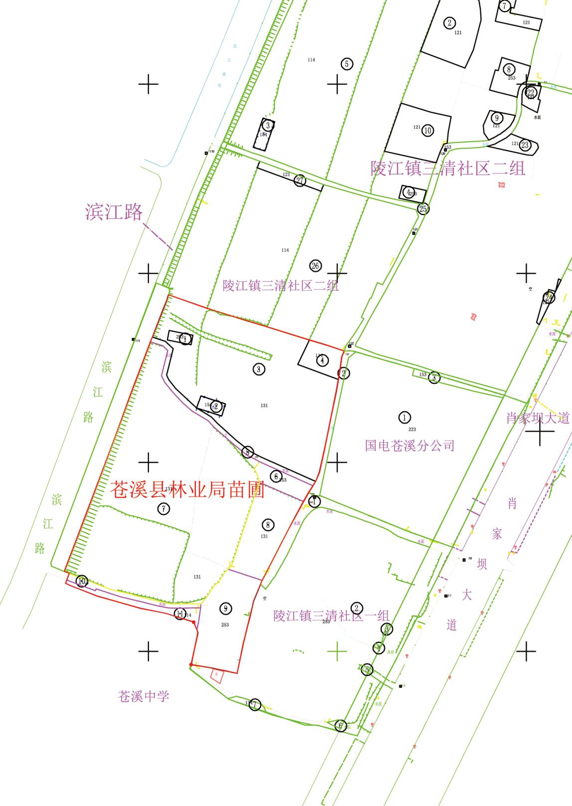 苍溪县自然资源和规划局最新发展规划概览